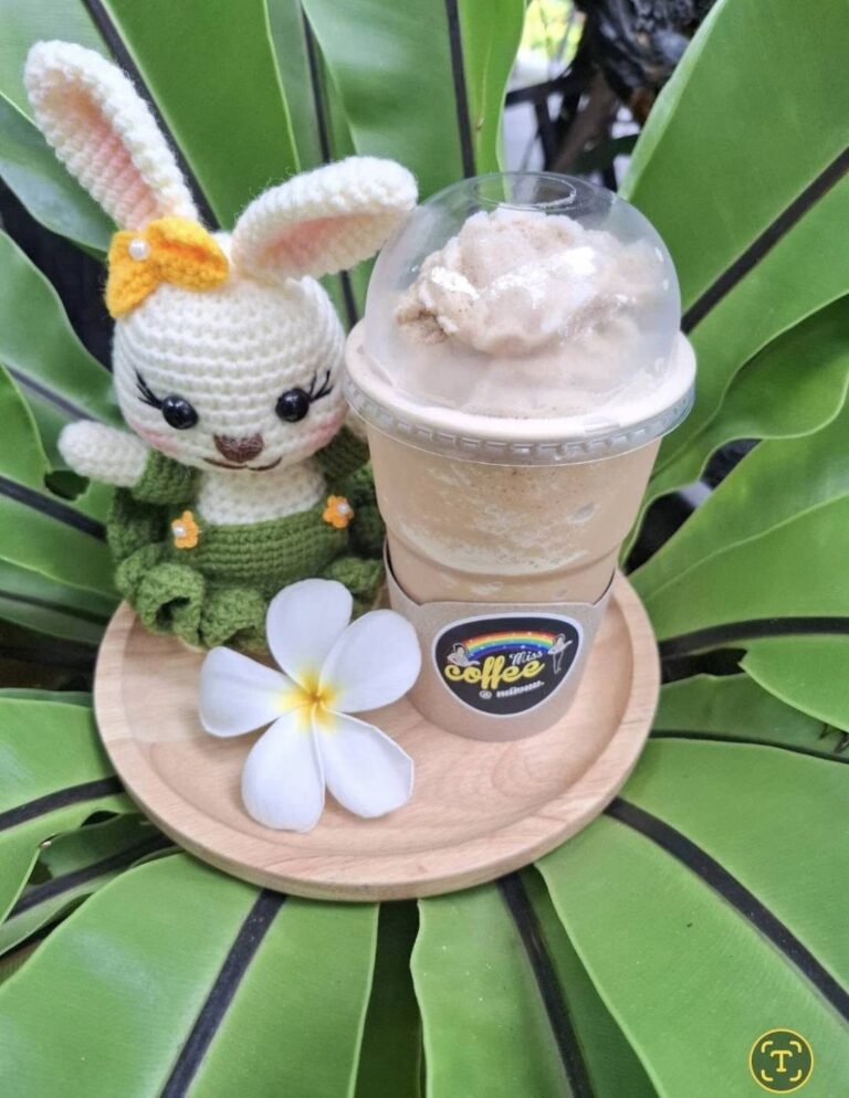 540787873_1331785002281878_350239777186269029_n