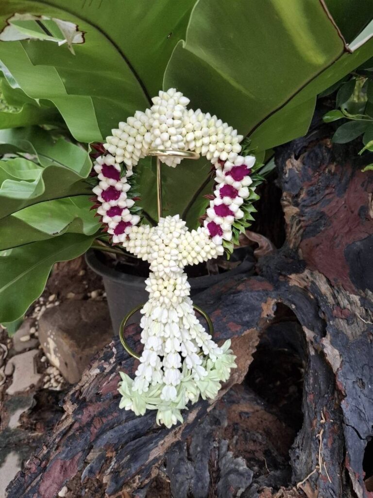 542135322_1331785038948541_3061160897039627058_n